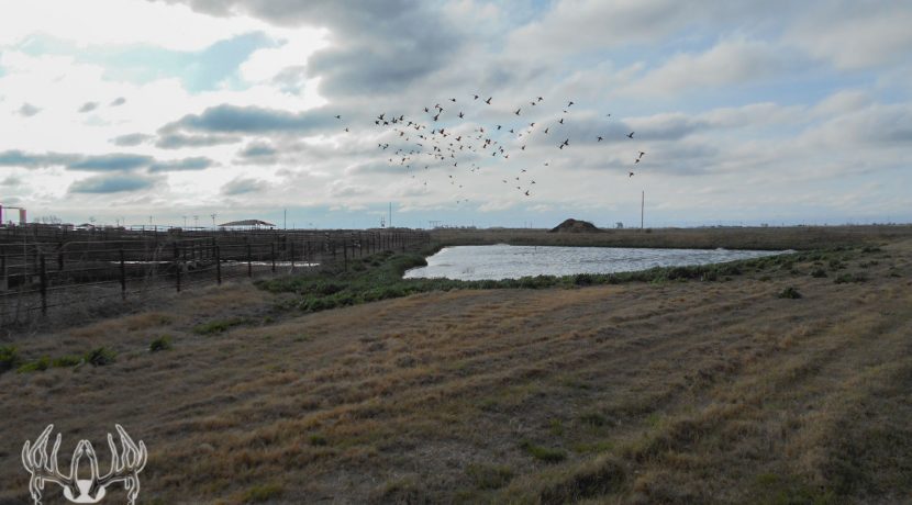 OK-418 Hunting Country Real Estate Farm For Sale-32