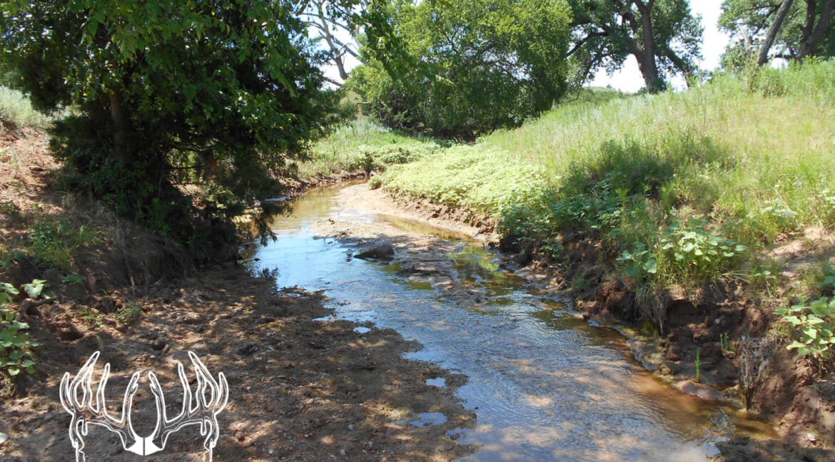 KS-437N (101 of 182)