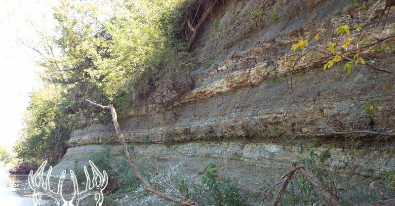 #KS-504c Sumner County, Kansas 36 Acres M/L