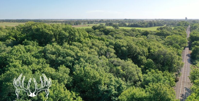 #KS-521 Kingman County, Kansas 194 Acres M/L