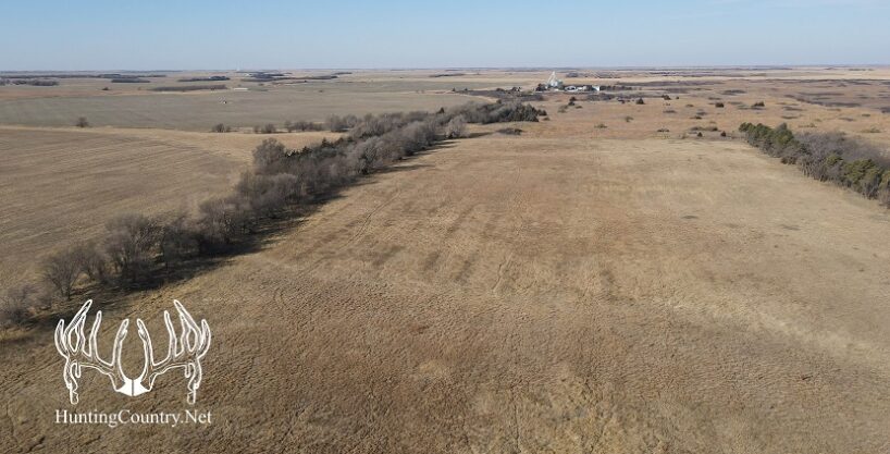 #KS-556 Kiowa County 157 Acres M/L