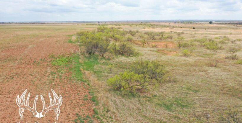 #OK-578 Online Auction – 5 Farms – Woods County, OK