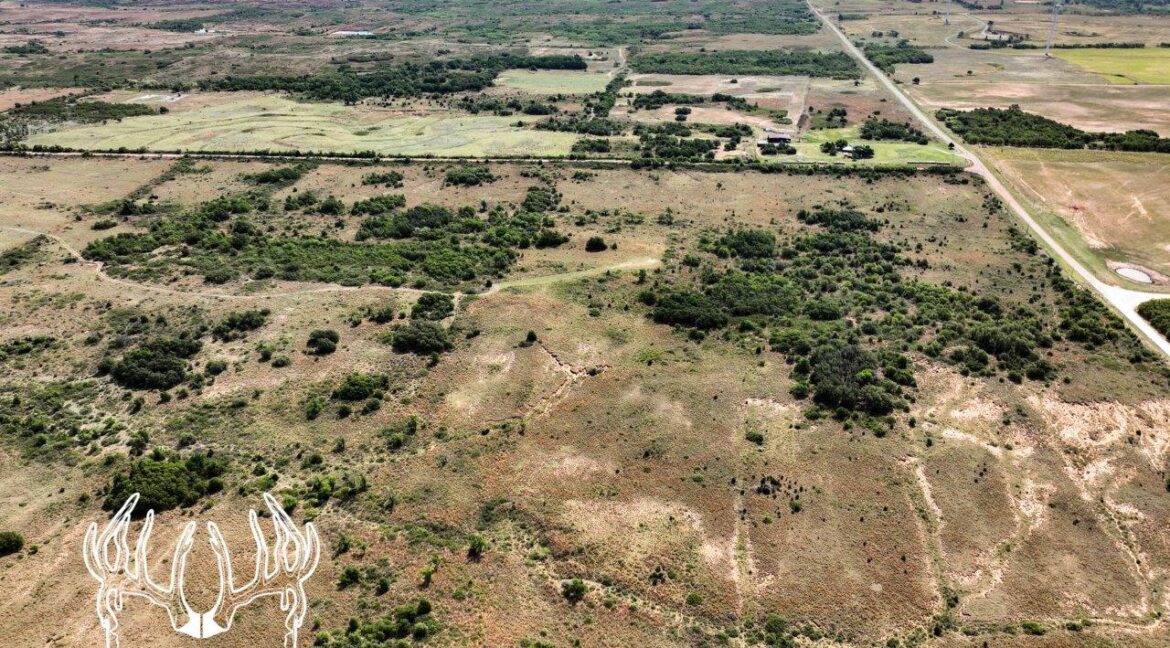 OK583 Roger Mills County, Oklahoma 638 Acres M/L Hunting Country