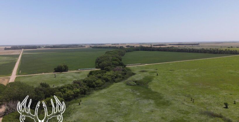 #KS-585 Pratt County, Kansas 235 Acres M/L