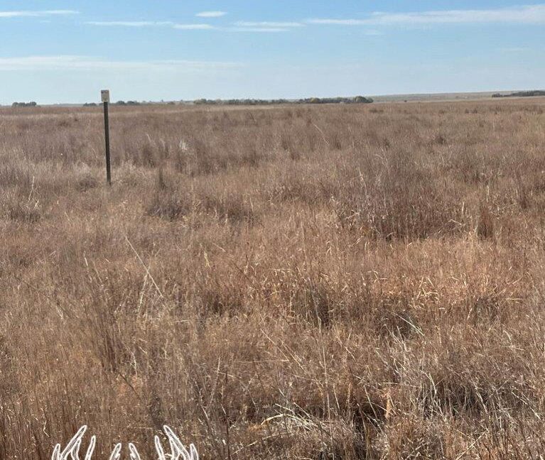 KS598 Meade County, Kansas 160 Acres M/L Hunting Country Real
