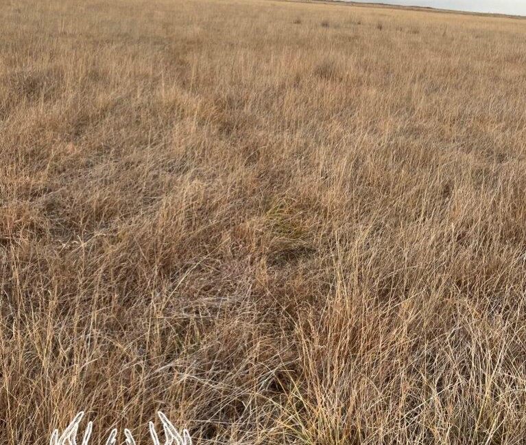 KS598 Meade County, Kansas 160 Acres M/L Hunting Country Real