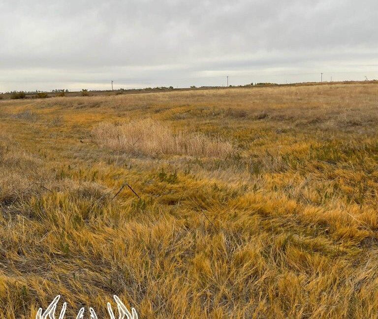 KS598 Meade County, Kansas 160 Acres M/L Hunting Country Real