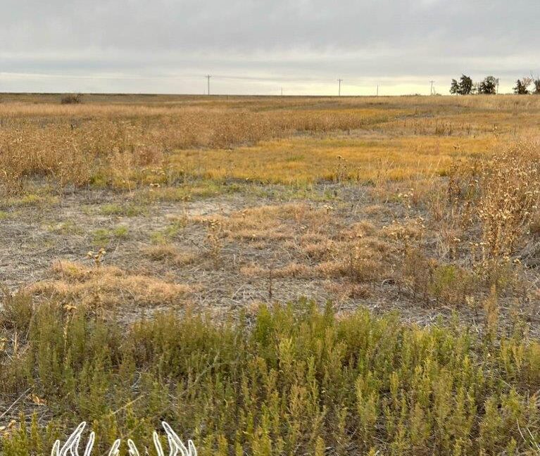 KS598 Meade County, Kansas 160 Acres M/L Hunting Country Real