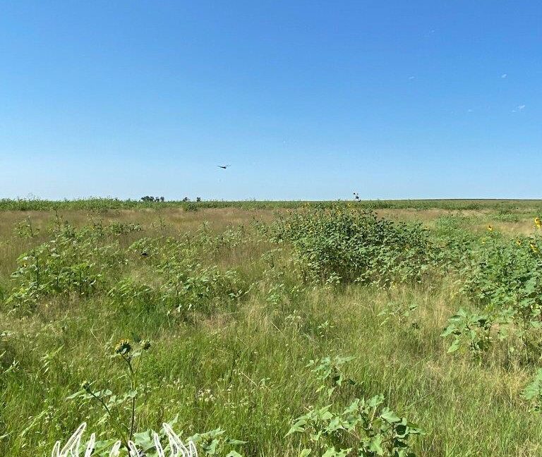 KS598 Meade County, Kansas 160 Acres M/L Hunting Country Real