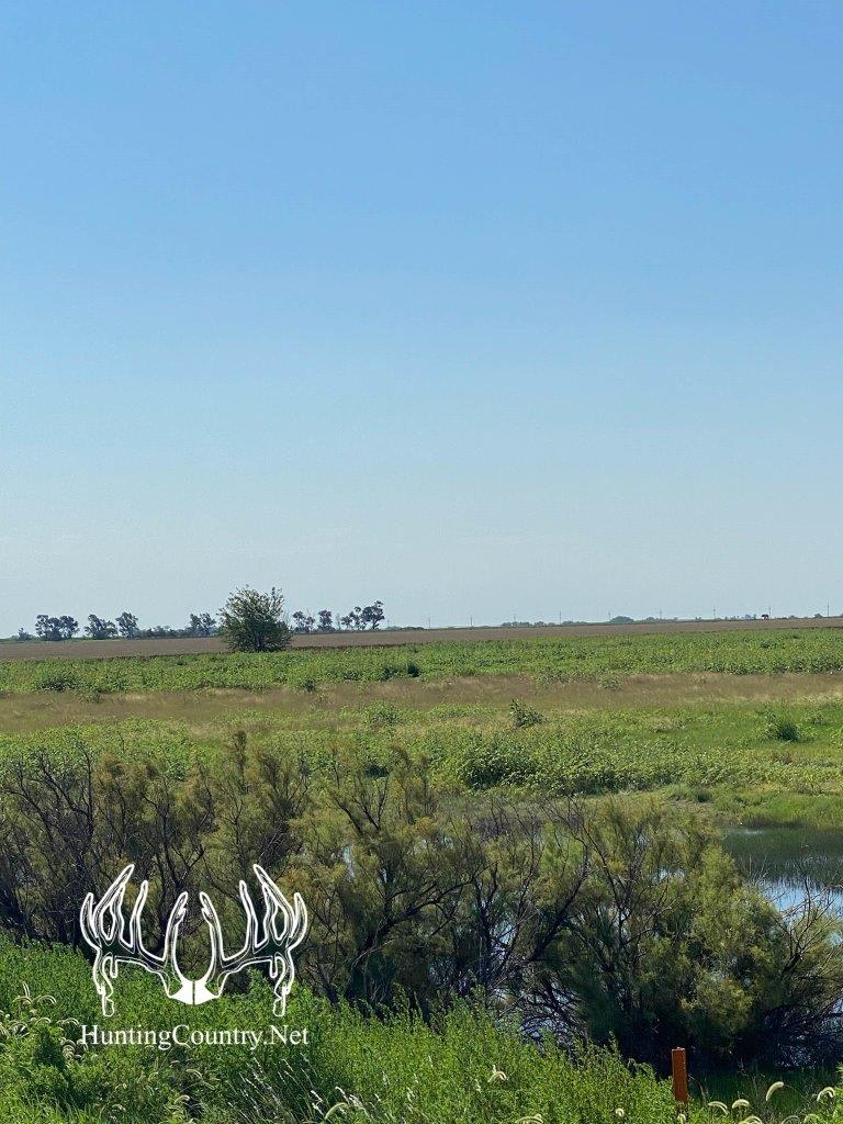 KS598 Meade County, Kansas 160 Acres M/L Hunting Country Real