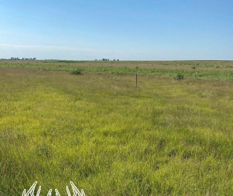 KS598 Meade County, Kansas 160 Acres M/L Hunting Country Real