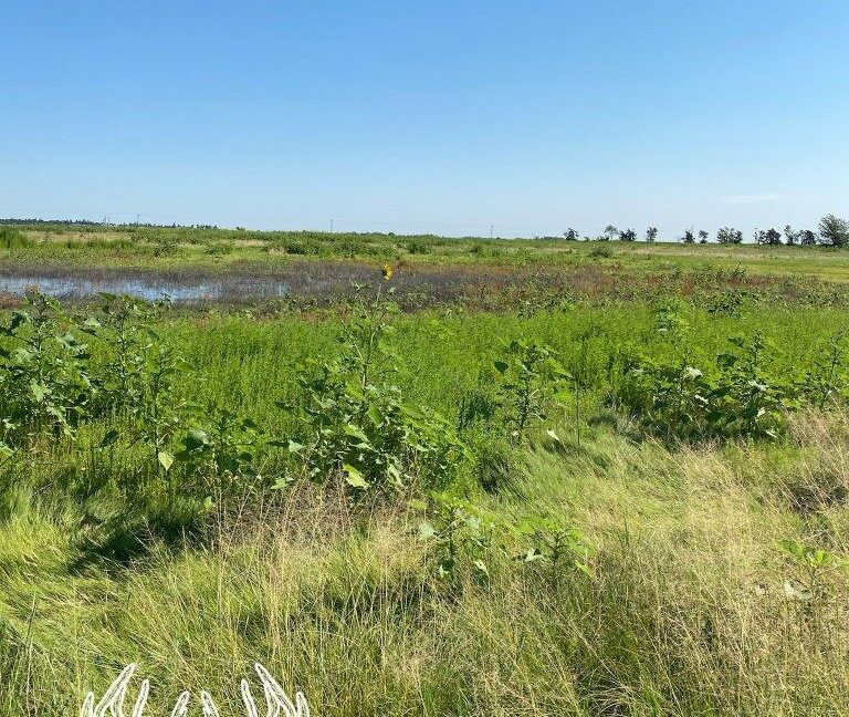 KS598 Meade County, Kansas 160 Acres M/L Hunting Country Real