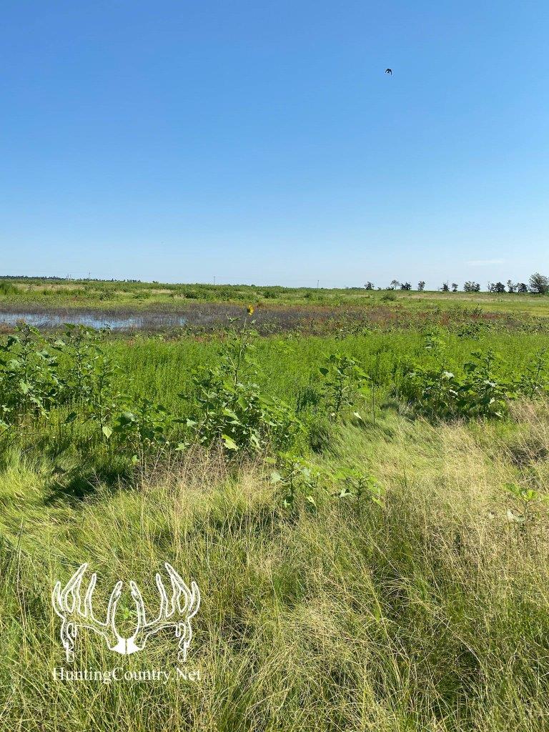 KS598 Meade County, Kansas 160 Acres M/L Hunting Country Real