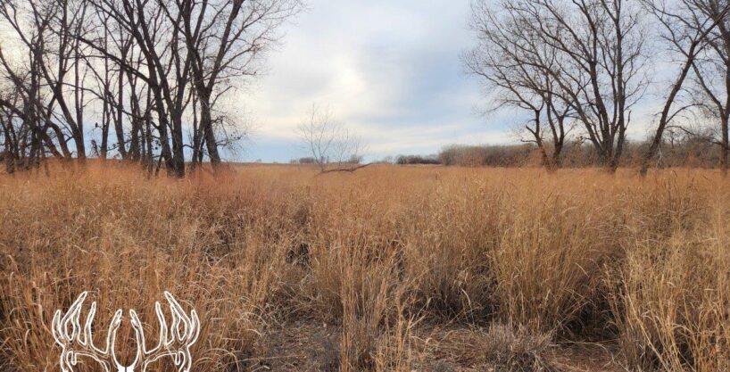 #KS-599 Barber County, Kansas 120 Acres M/L