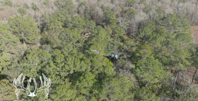 #FL-605 Lafayette County, Florida 48 Acres M/L