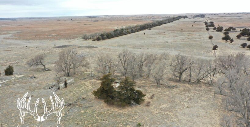 #KS-606 Kiowa County, Kansas 880 Acres M/L