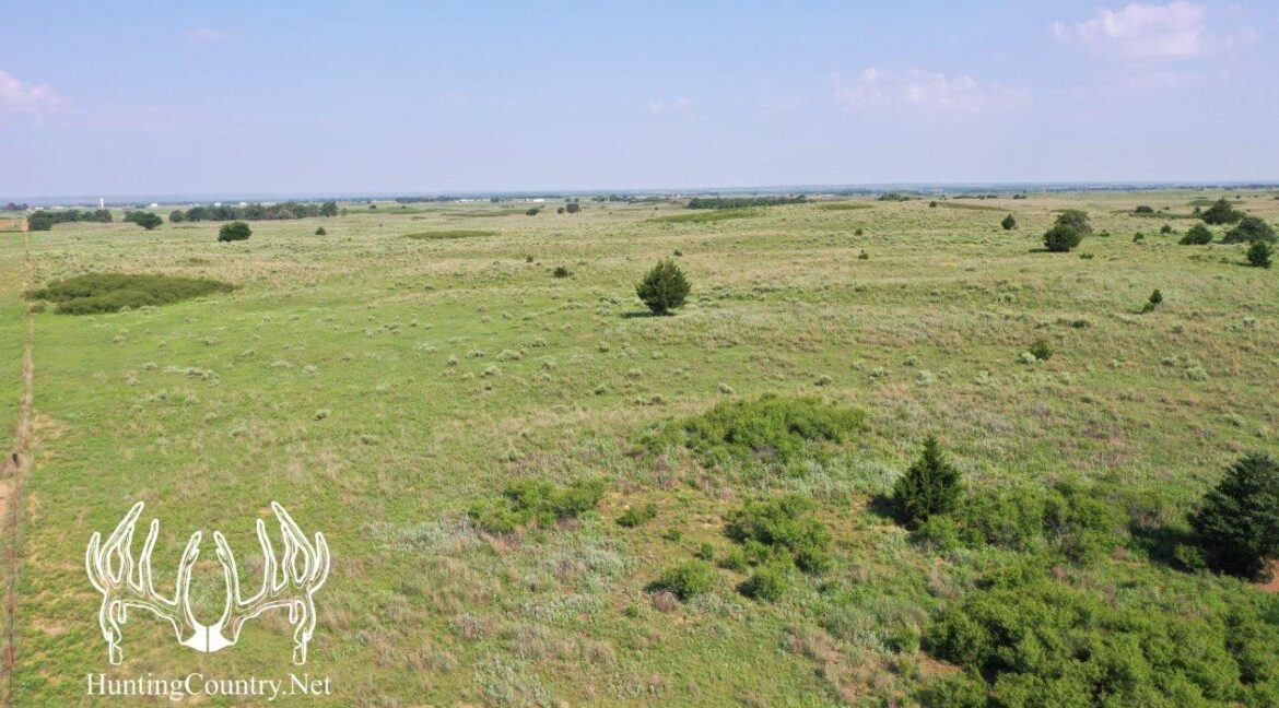 #OK-607 190acres-6