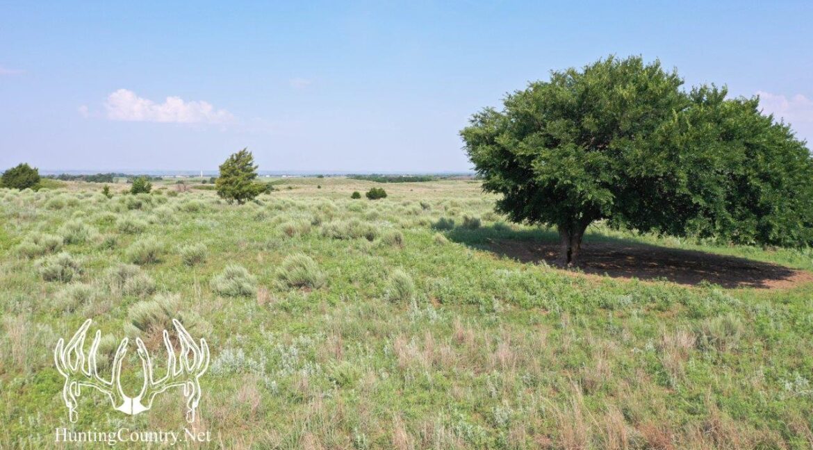 #OK-607 190acres-8