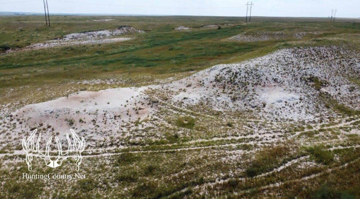 #OK-612August2023-10