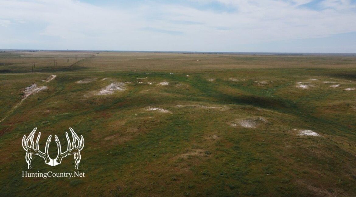 #OK-612August2023-16