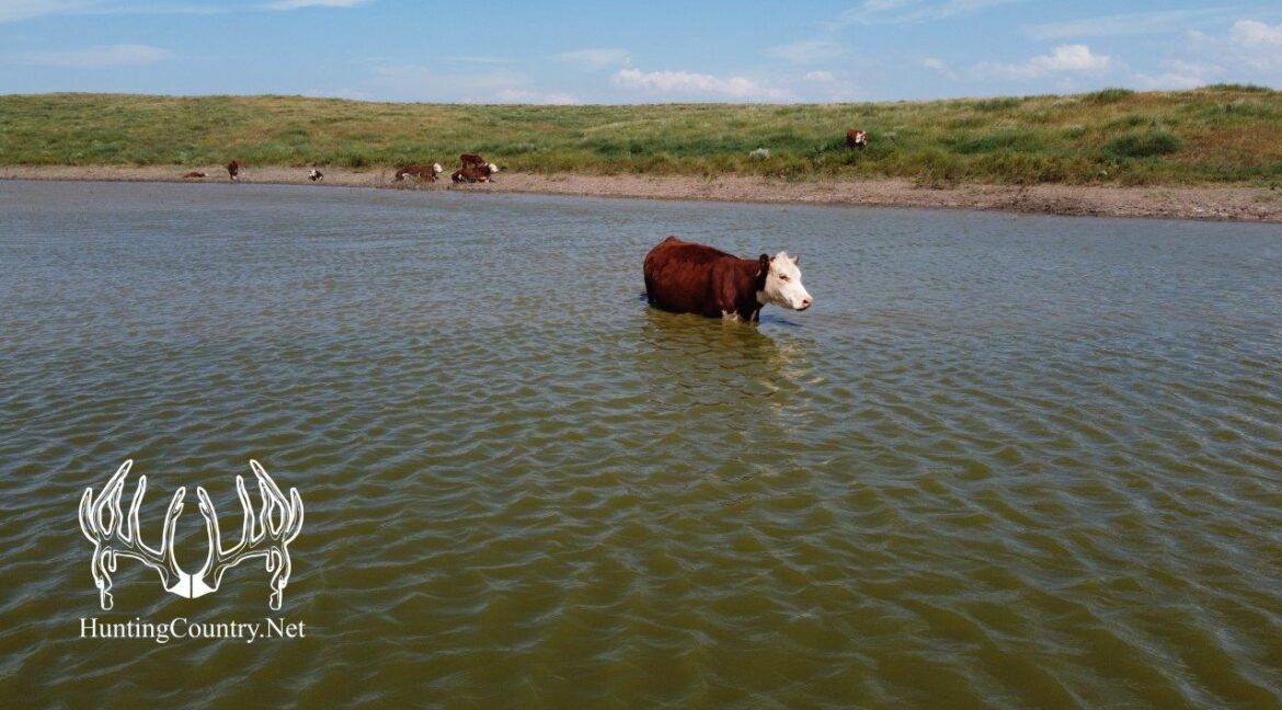 #OK-612August2023-29