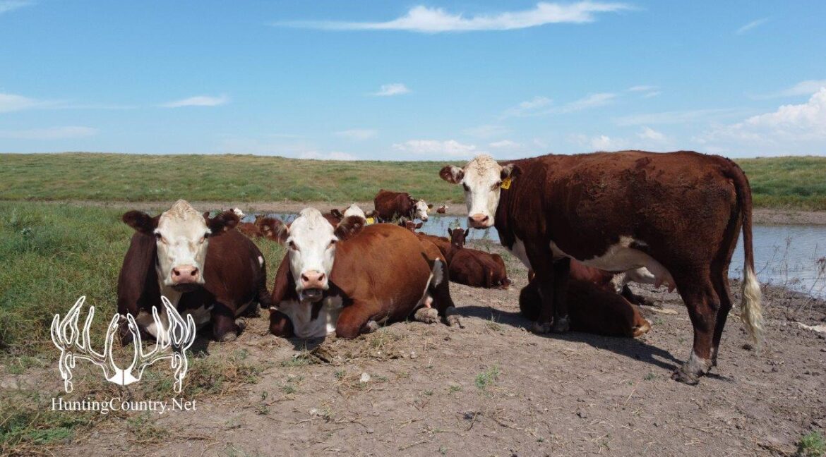 #OK-612August2023-30