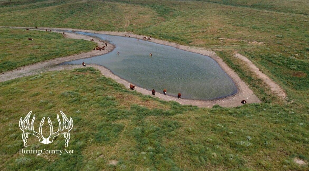 #OK-612August2023-31