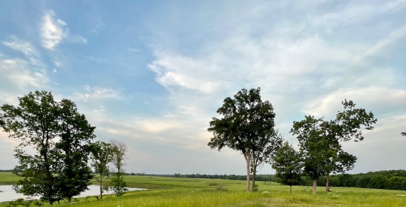 #OK-623 McCurtain Co, Oklahoma 504 Acres M/L & Home