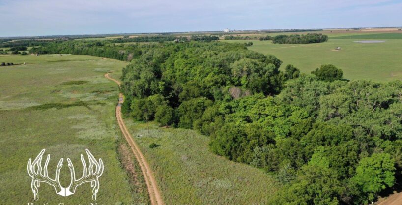 #KS-633 Pratt County, Kansas 79 Acres M/L