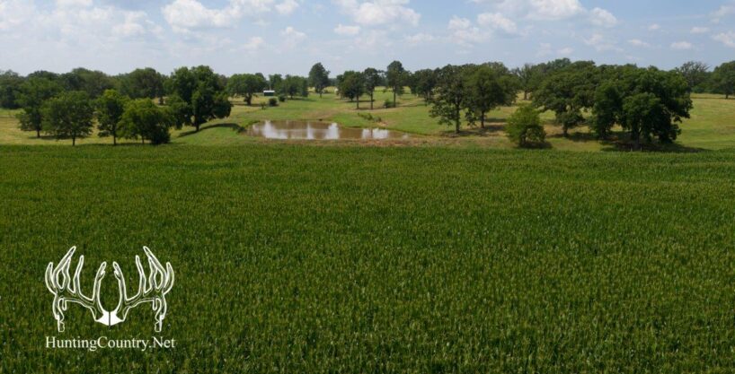 Online Auction – 6 Tracts of Land – Seminole County, Oklahoma