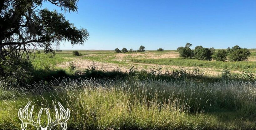 #KS-652 Clark County, Kansas 480 Acres M/L