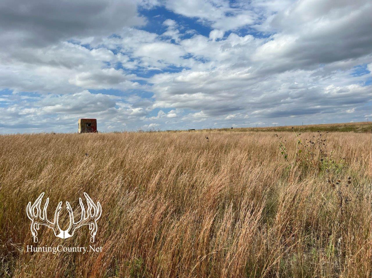 #KS-670 Meade County, Kansas 115 Acres M/L