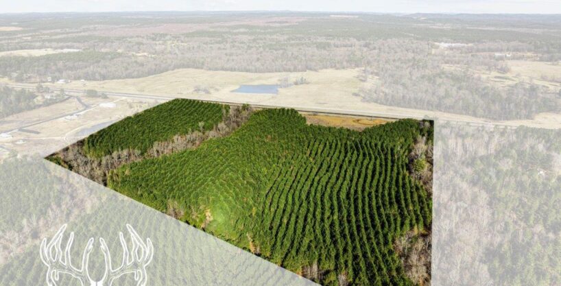 #OK-666 McCurtain County, Oklahoma 32.85 Acres M/L