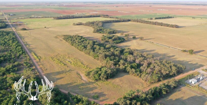 #OK-790 Alfalfa County, Oklahoma 80 Acres M/L