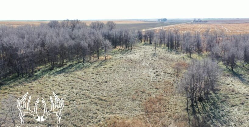 #KS-812 Kiowa County, Kansas 160 Acres M/L